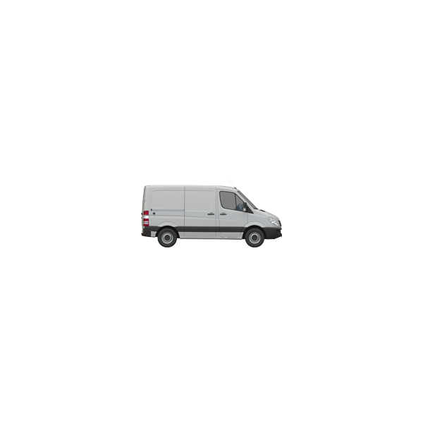 Sprinter